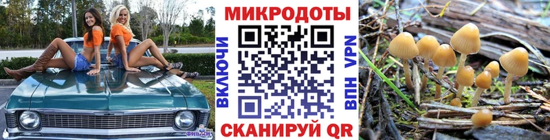 как найти   Салават  Галлюциногенные грибы MAGIC MUSHROOMS 