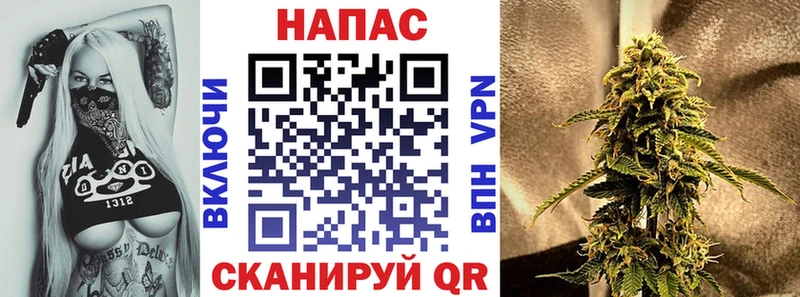 Бошки Шишки VHQ  продажа наркотиков  Салават 